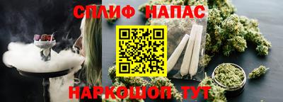 прущие грибы Комсомольск-на-Амуре