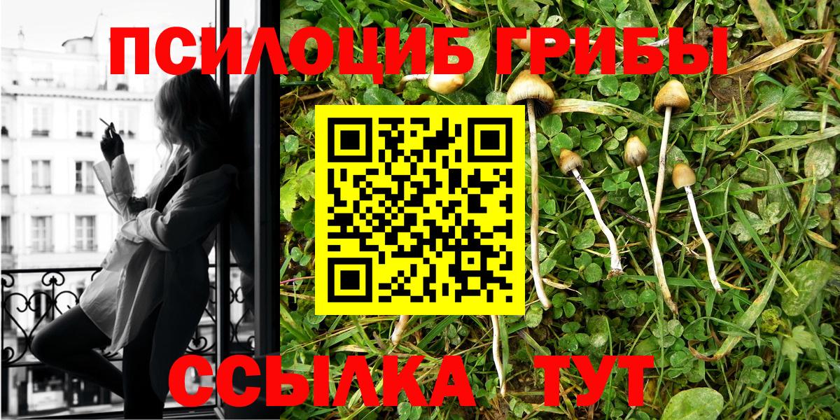 Качканар  Псилоцибиновые грибы Psilocybe  Вход с VPN 