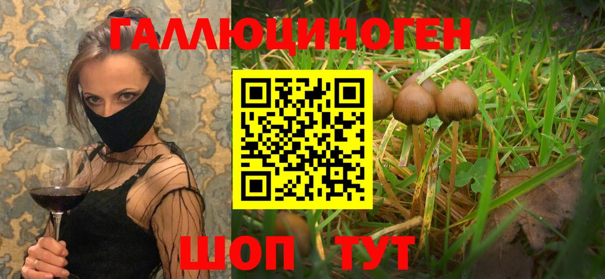 Псилоцибиновые грибы прущие грибы Качканар